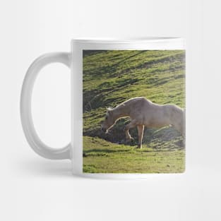 Montana Mug